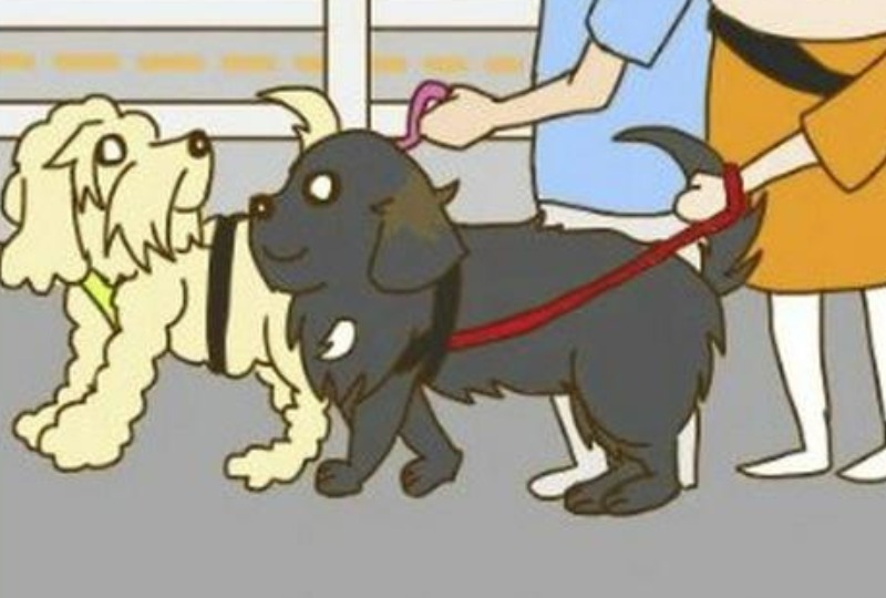 【漫画】第4話：散歩していると新たな発見が。大型犬の上には上がいてビックリ！【スモアちゃん】