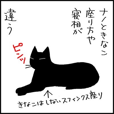 猫　寝方　漫画