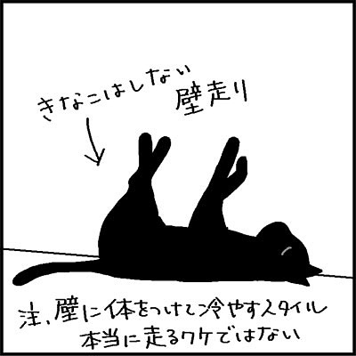 猫　寝方　漫画