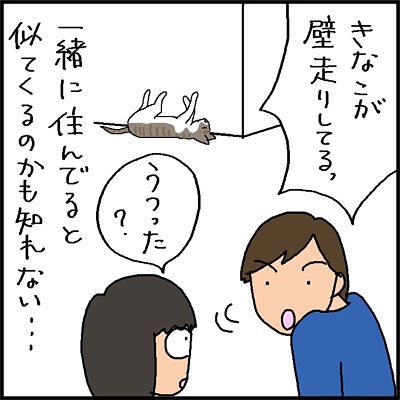 猫　寝方　漫画