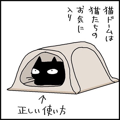 猫　猫ドーム　漫画