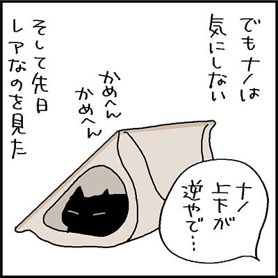 猫　猫ドーム　漫画