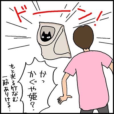 猫　猫ドーム　漫画