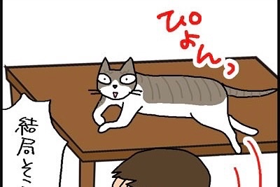 【漫画】第29話：じゅうたんで寝られるか！猫様っぷりが可愛いニャンコにキュン！【きなこちゃん】