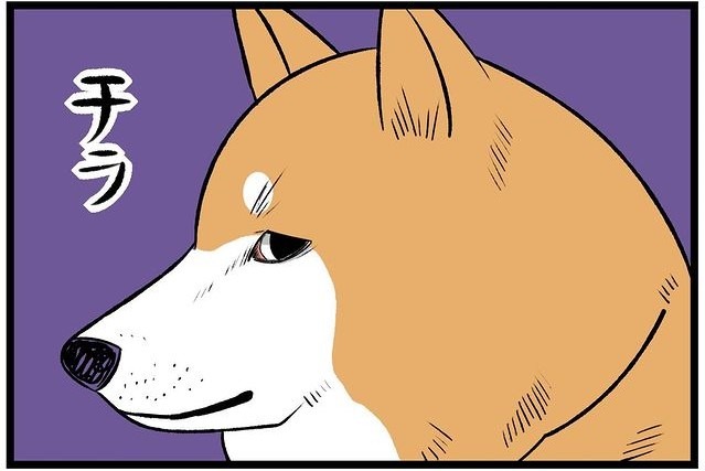 【漫画】第3話：お散歩に没頭する柴犬さん。話しかけられた時の反応に笑いが止まらない！【どんぐりちゃん】
