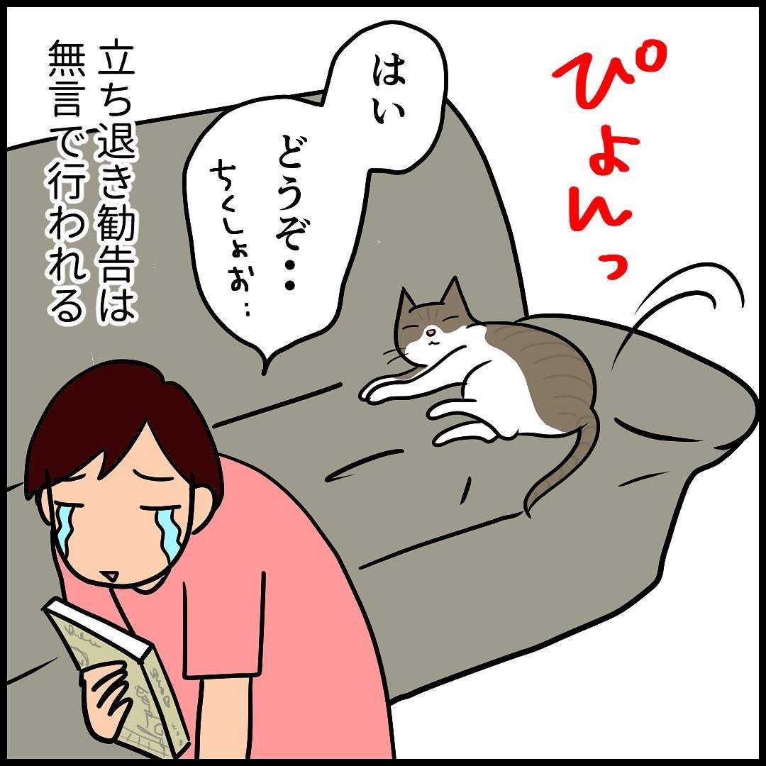 猫　ソファー　漫画