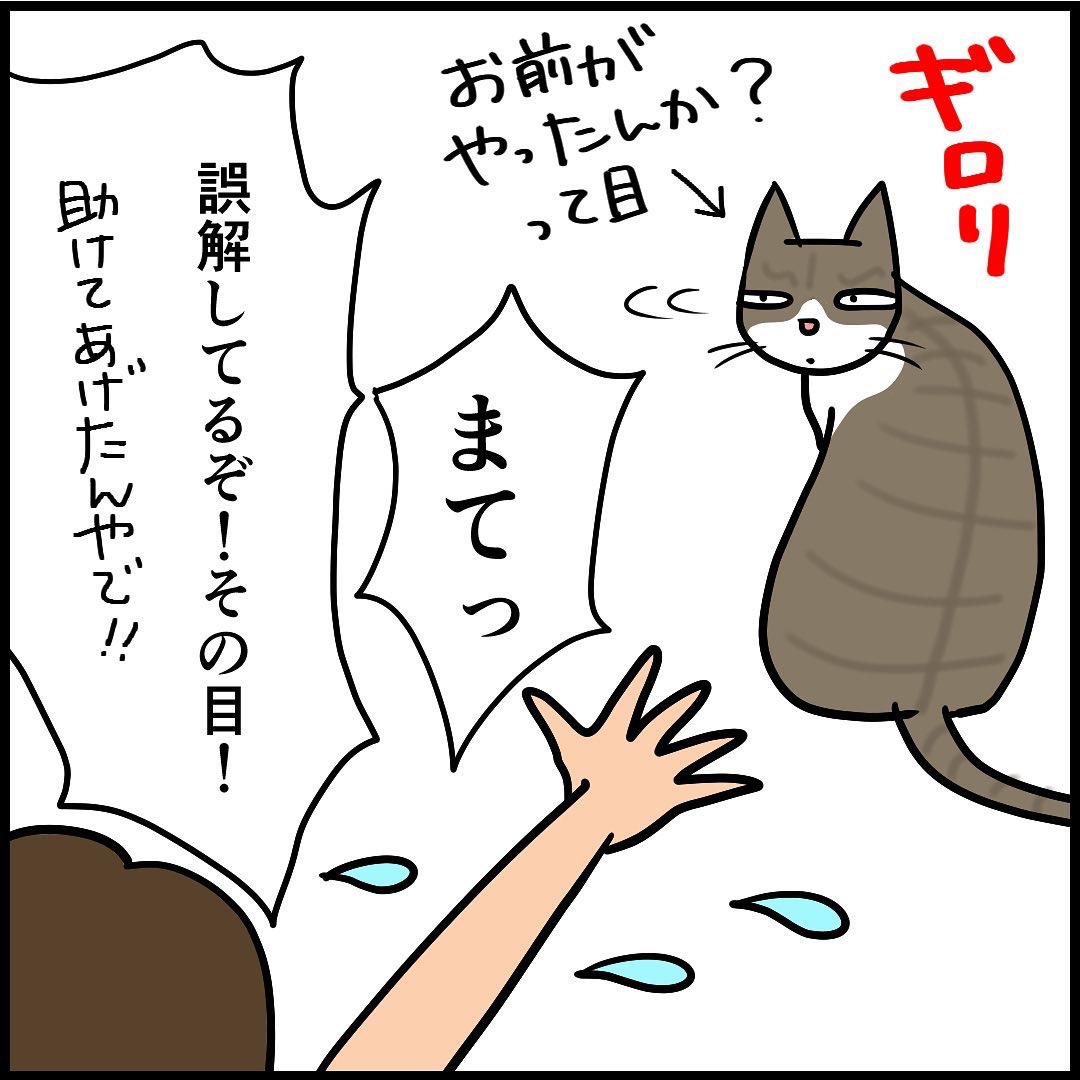 猫　濡れ衣　漫画