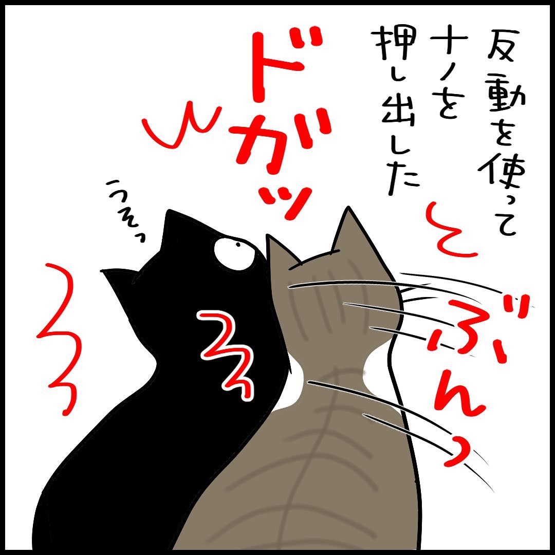 猫　反動　漫画