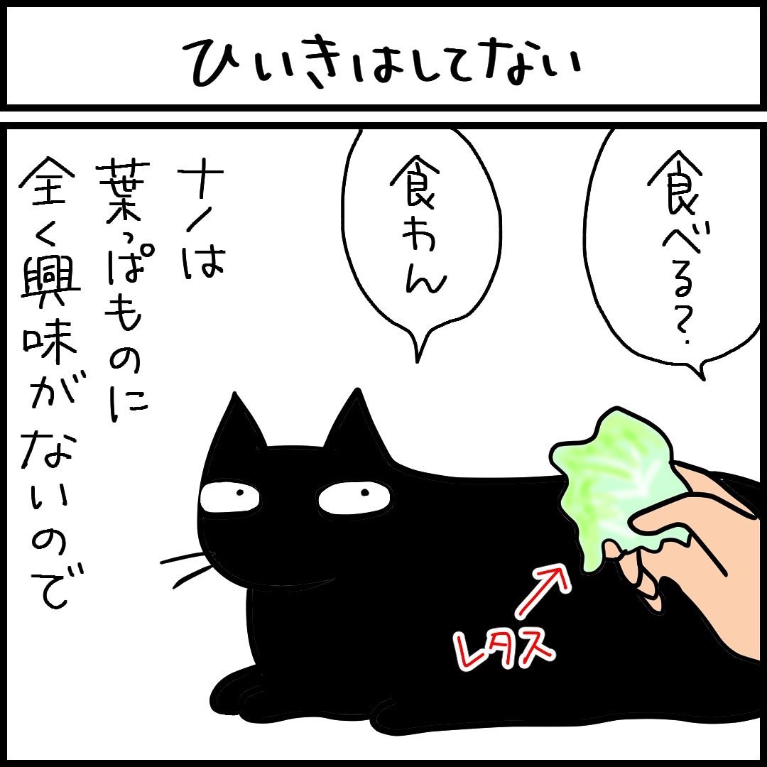 猫　レタス　漫画