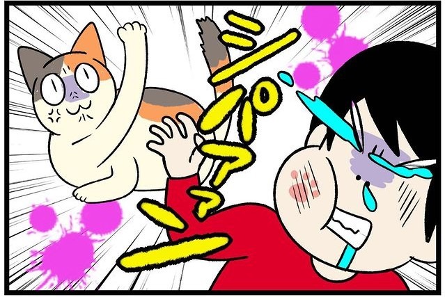 【漫画】第11話：顔が近づいただけでパンチ！においを嗅がれて即反応する猫さんに爆笑【たんぽぽちゃん】