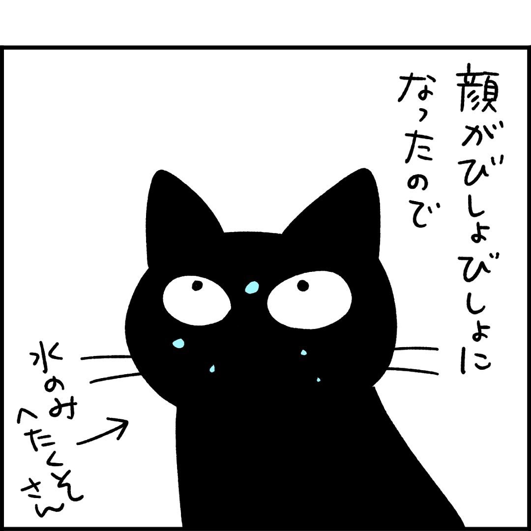 猫　猫ドリル　漫画