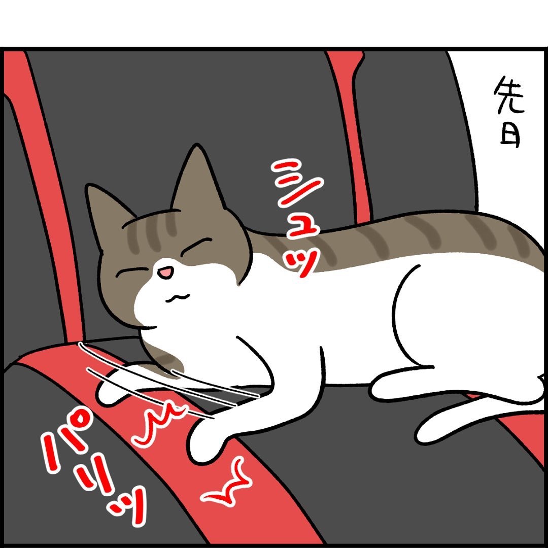 猫　爪研ぎ　漫画