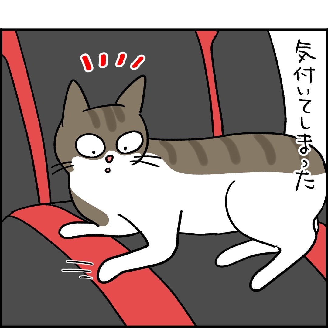 猫　爪研ぎ　漫画