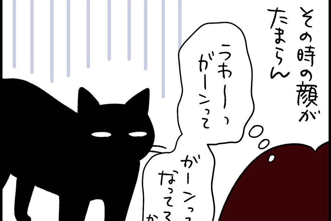 【漫画】第61話：「それって、ささみ汁？！」毎回期待→ガッカリする猫くんが愛おしい【ナノくん】