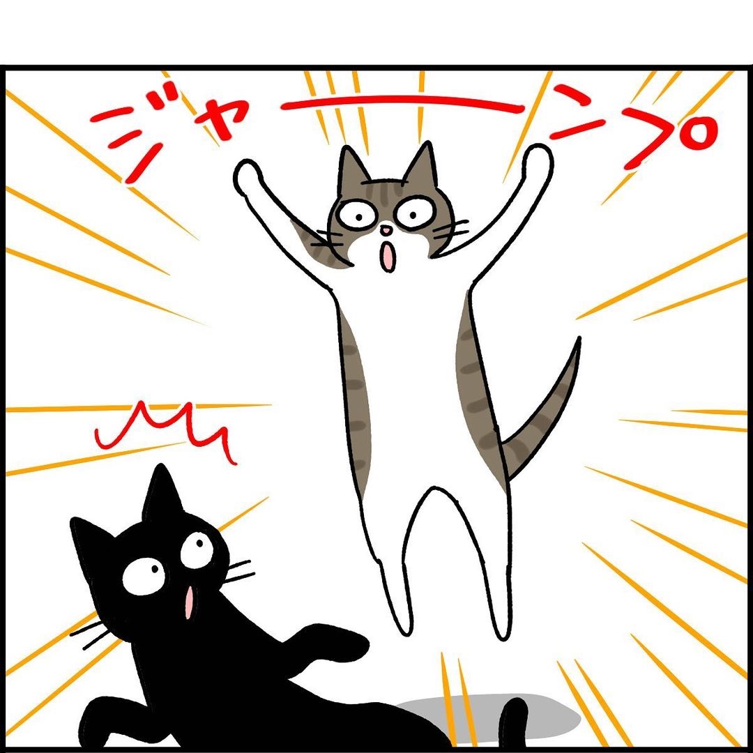 猫　ジャンプ　漫画