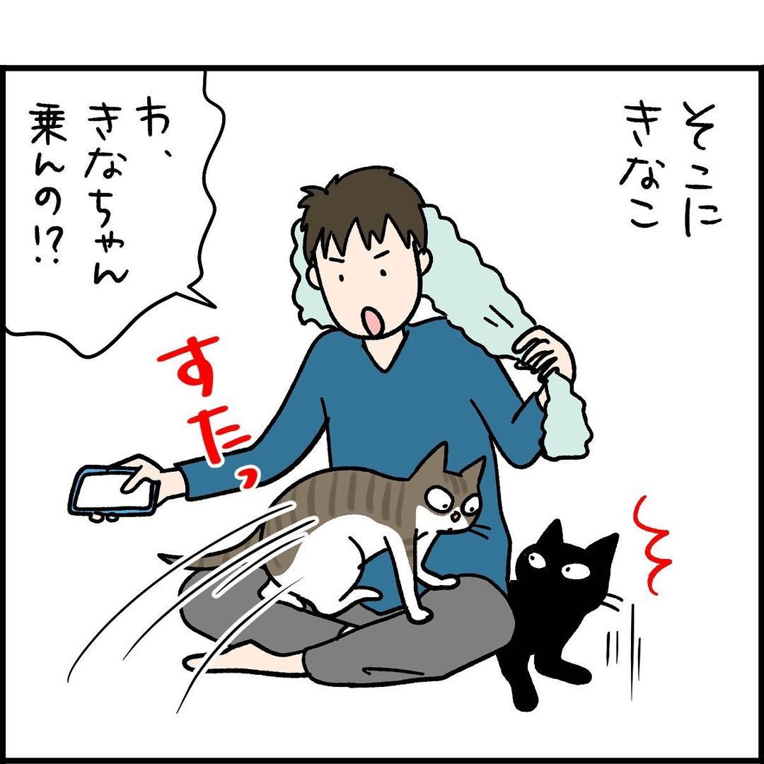 猫　乗る　漫画