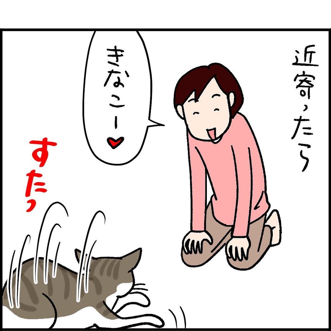猫　近づく　漫画