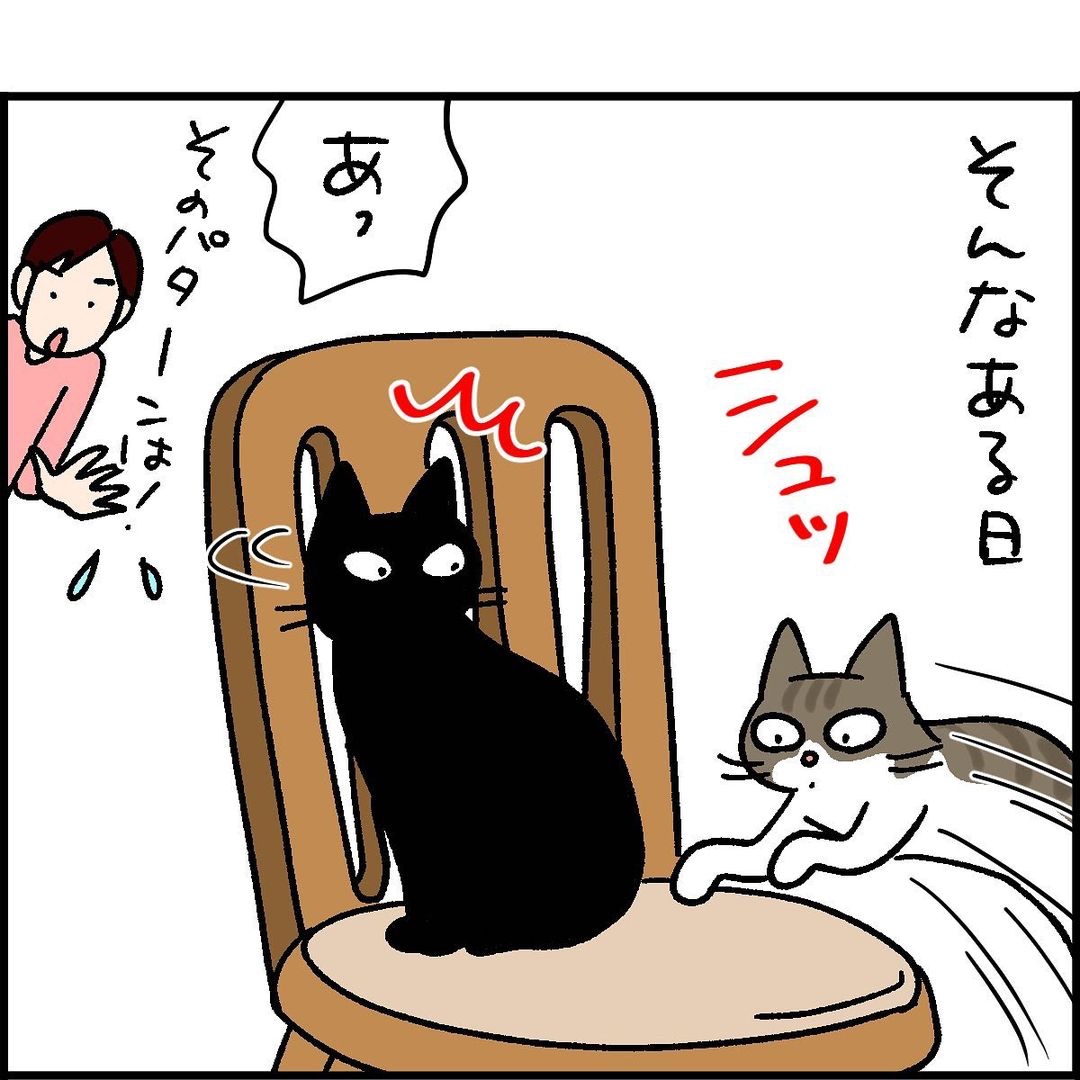 猫　椅子　漫画