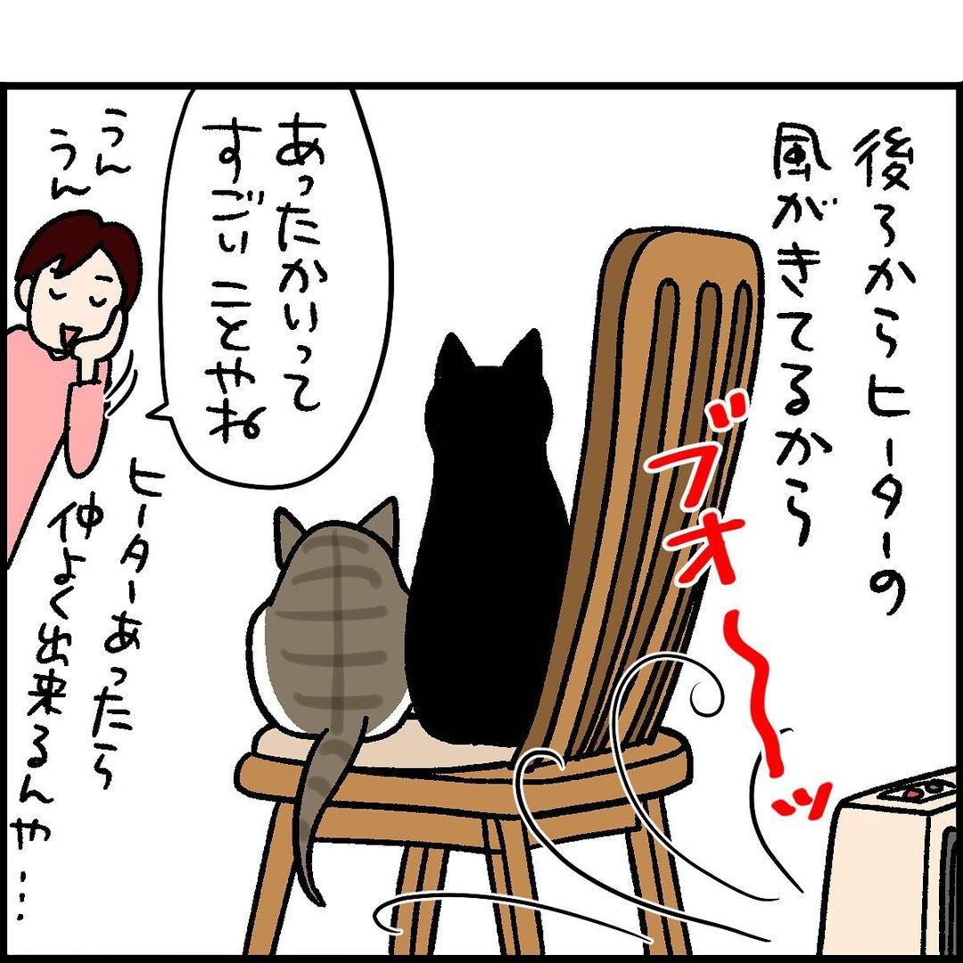 猫　ヒーター　漫画