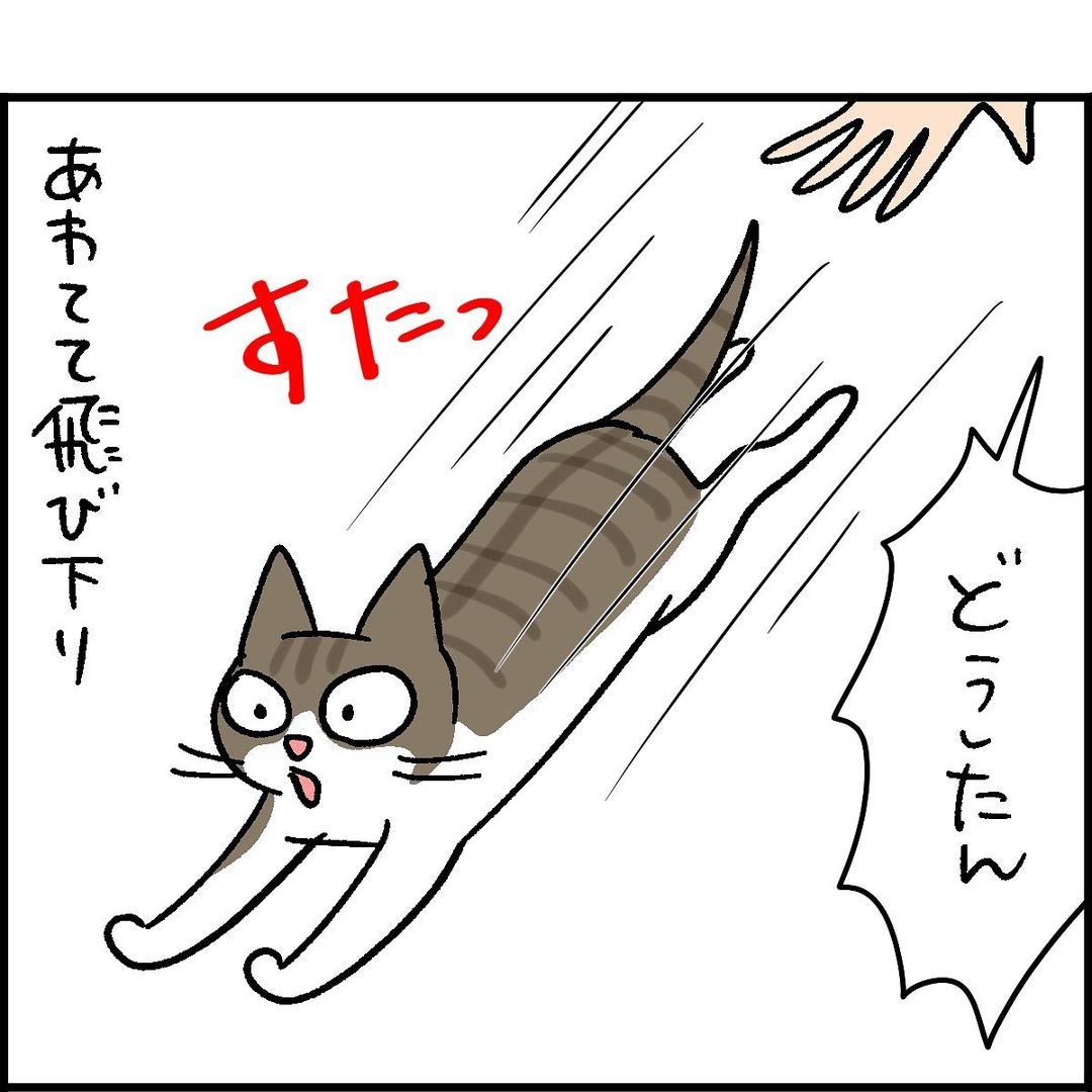 猫　飛び降りる　漫画