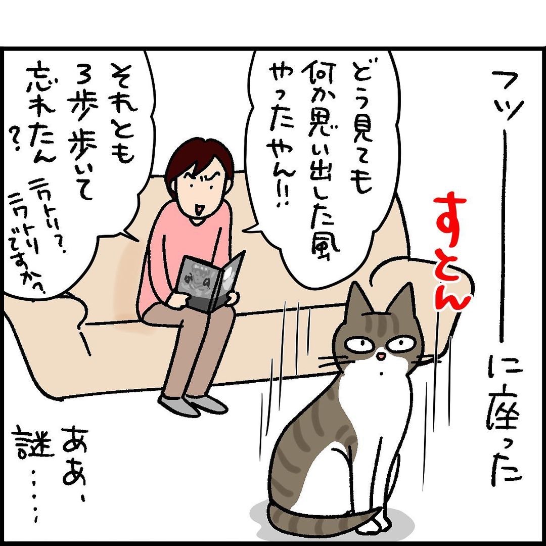 猫　謎行動　漫画