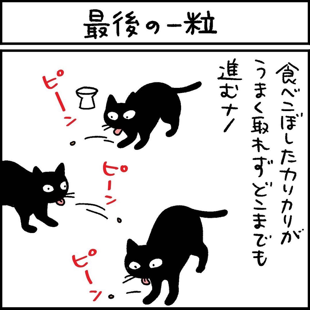 猫　カリカリ　漫画