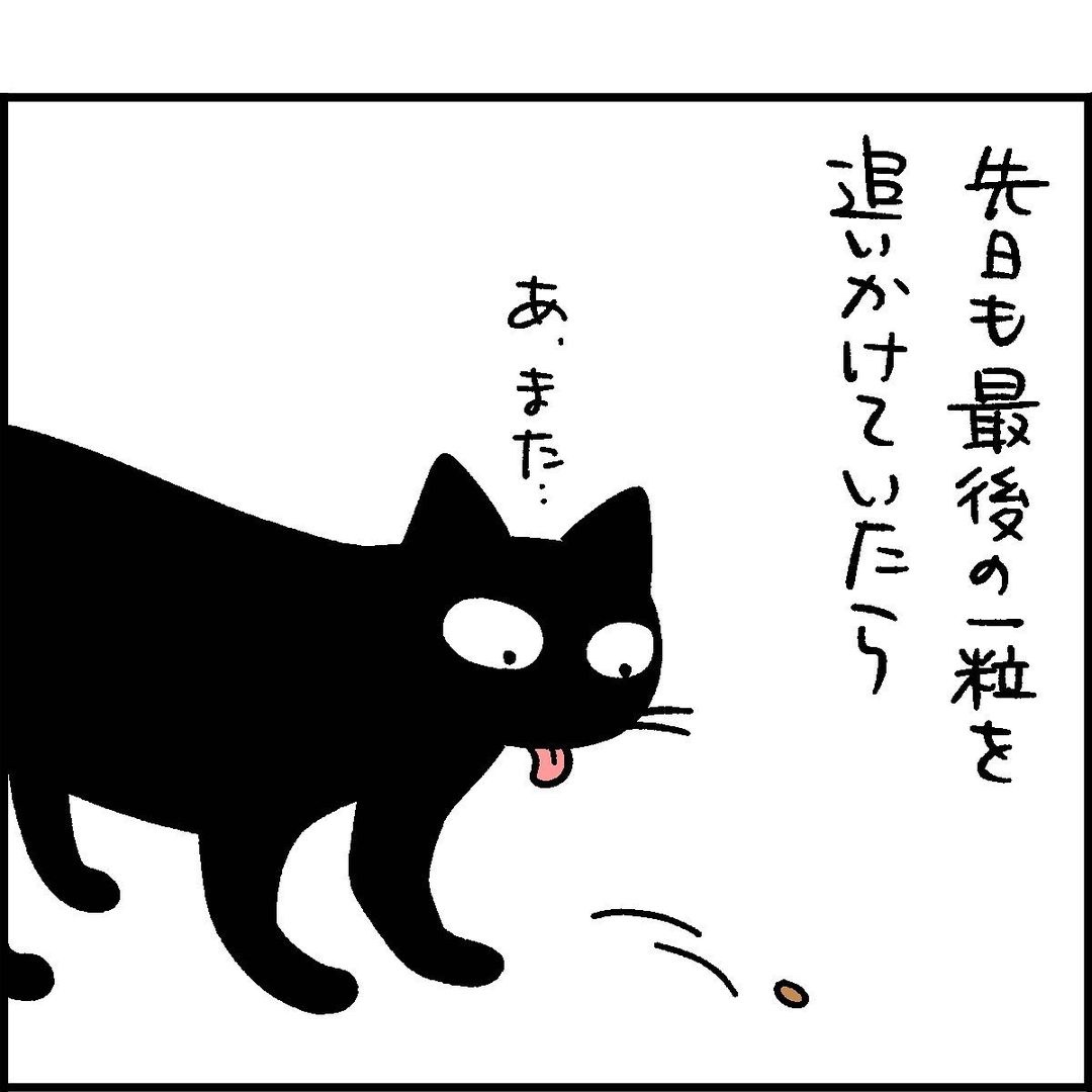 猫　カリカリ　漫画