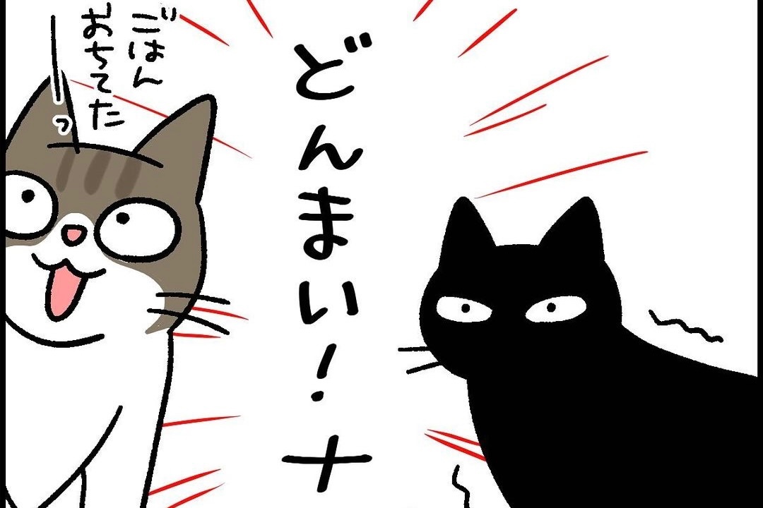 【漫画】第73話：最後の一粒だったのに！ご飯を横取りされてガッカリ顔の猫くん【ナノくん】