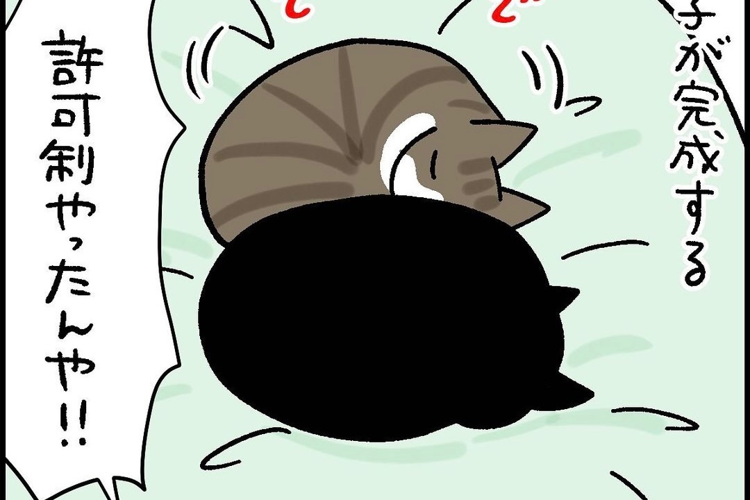 【漫画】第74話：許可制？！猫団子作成のルールにオレ様炸裂のニャンコが可愛すぎ♡【ナノくん】