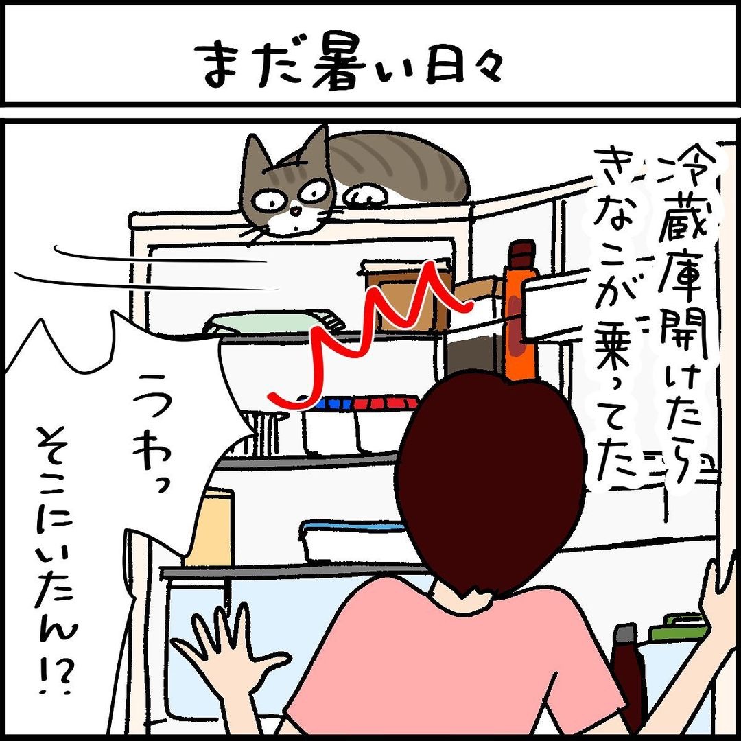 猫　冷蔵庫　漫画