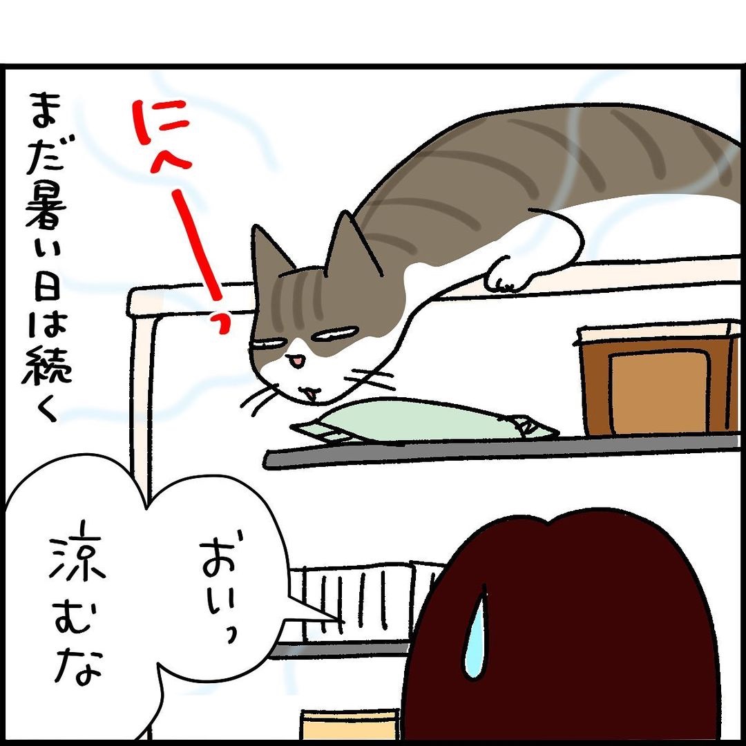 猫　冷蔵庫　漫画