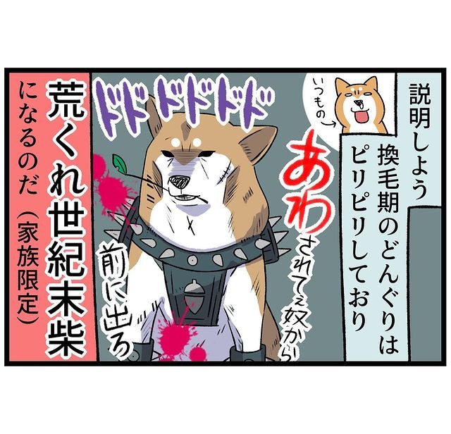 イライラする　柴犬　漫画