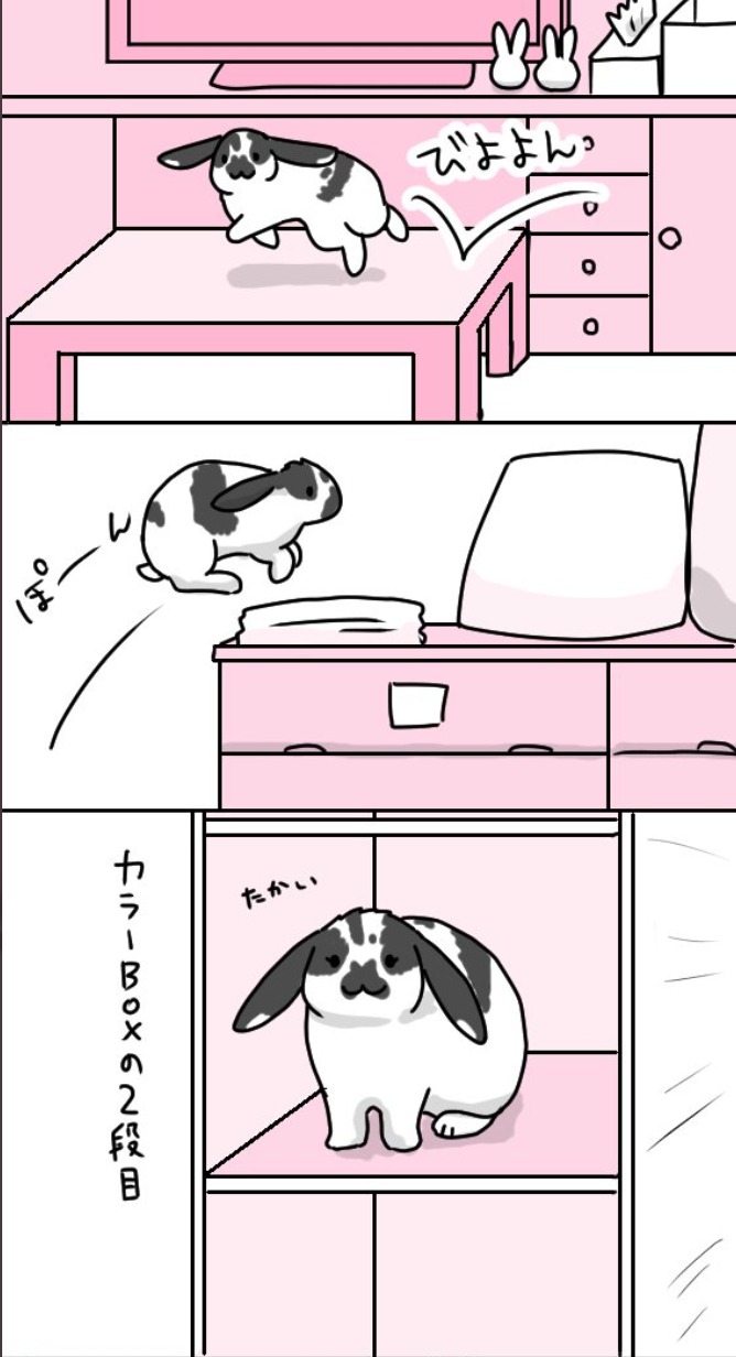 ウサギ　登る　漫画