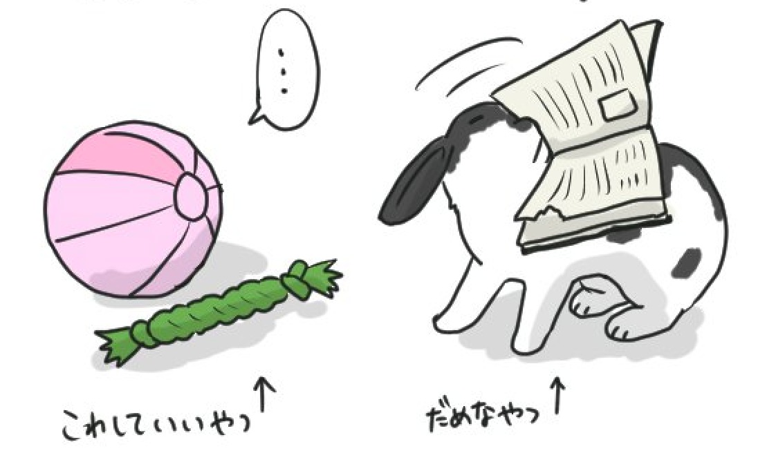 【漫画】第30話：「コラーッ！」なぜか遊んではダメな物を選ぶウサギさんに大爆笑【ひめちゃん】