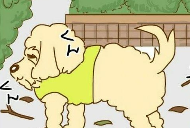 【漫画】第49話：モップなの？フワフワ大型犬あるあるが可愛くて面白い♡【ルイボスちゃん】