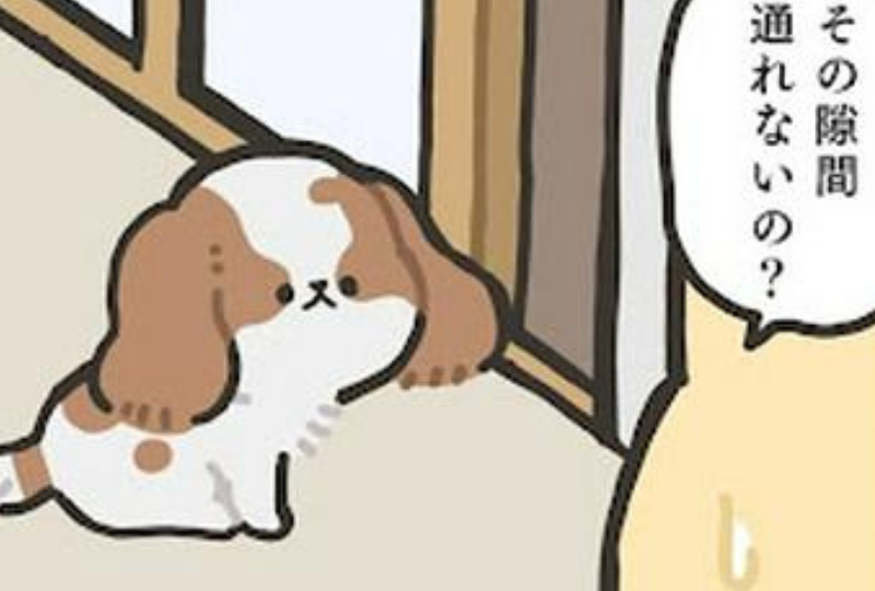 【漫画】第12話：せっかくドア開けてあげたのに…。飼い主さんの気づかいにキョトン顔のワンコ【犬ちゃん】