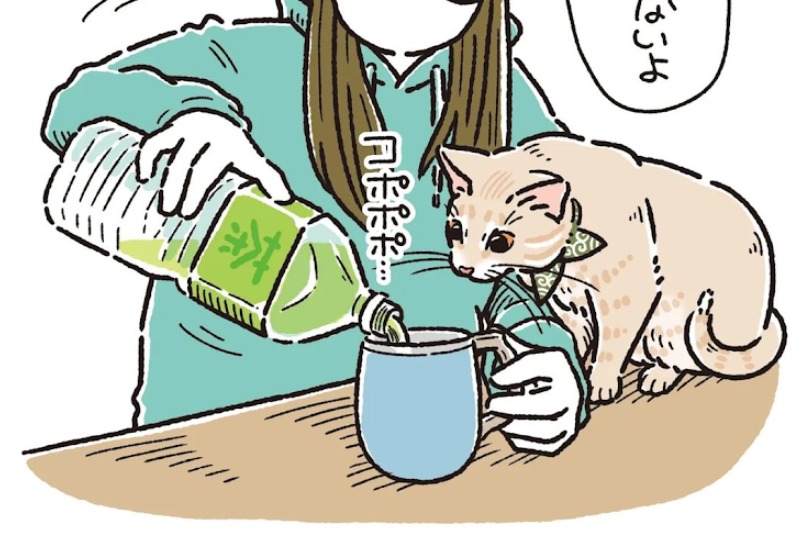 【漫画】第82話：わざとなん？お茶を飲んでいるとコップの底を頭突きするニャンコ【麦くん】