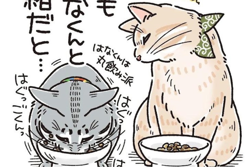 【漫画】第86話：負けてたまるかぁ！同居猫と一緒だと”何でも食べたい”ニャンコに笑♪【麦くん】