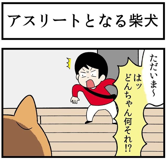 犬　アスリート　漫画