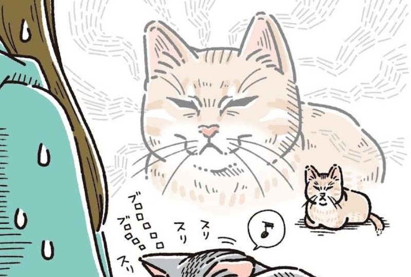 【漫画】第91話：「じぃ…」同居猫が甘えてるのを眉間にしわを寄せて見るニャンコにクスッ【麦くん】