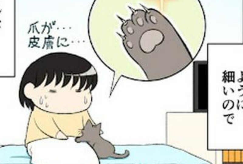 【漫画】第32話：控えめな猫さんの細い爪？！痛くても許しちゃう癒しのスキンシップ♡【ななこちゃん】