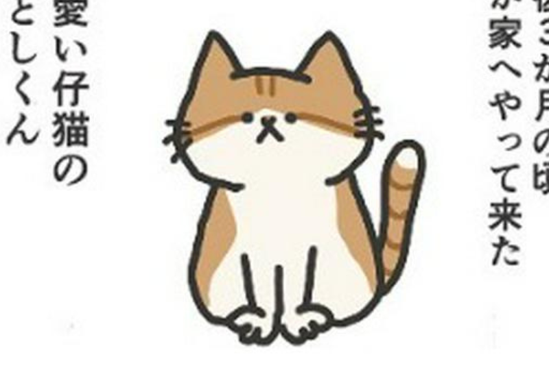 【漫画】第1話：我が家に新たにやってきた子猫が可愛くてたまらないニャン♡【ふとしくん】