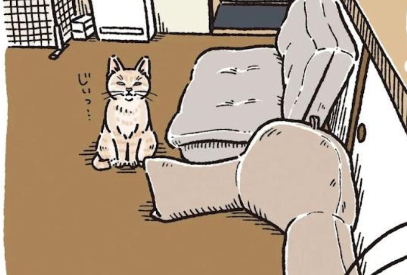 【漫画】第55話：「物申したいことがあります！」？ジワリと近づいてくる猫が愛おしい♡【麦くん】