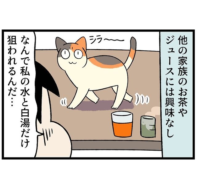猫　水　漫画