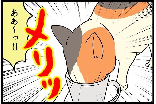 【漫画】第29話：コップに顔を突っ込んでがぶ飲み！飼い主さんのお水を狙う猫さん【たんぽぽちゃん】