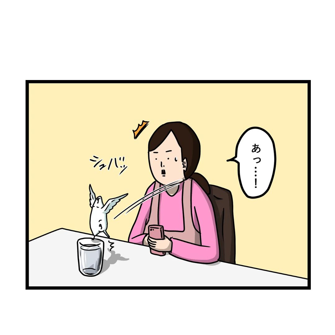 水浴び　インコ　漫画