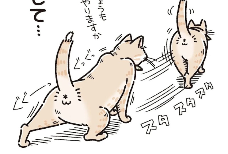 【漫画】第12話：「はよテレビつけて」猫ファーストのモーニングルーティンにクスッ♪【麦くん】