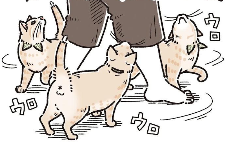 【漫画】第14話：お風呂上がりの飼い主さんをストーキング！待てないニャンコが可愛すぎ♪【麦くん】