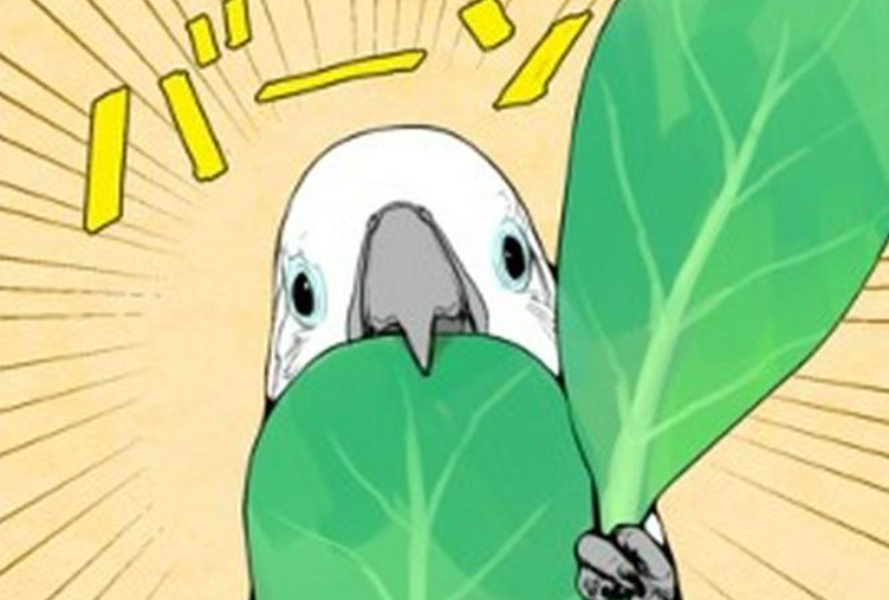 【漫画】小松菜2枚ともほしい！欲張りなオウムくんの悩みが可愛い♡【ろうくん】