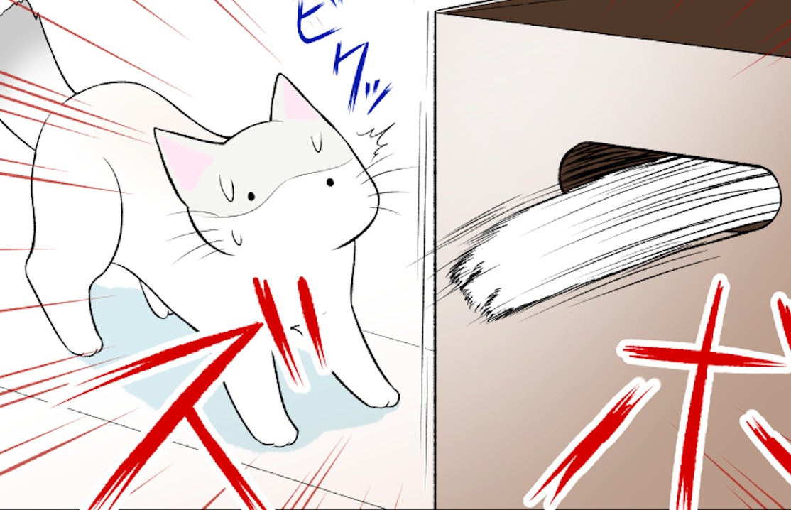 【漫画】第47話：急に出てくる同居猫にびっくり！ニャンズの激しい遊び方に大爆笑【おちびちゃん】
